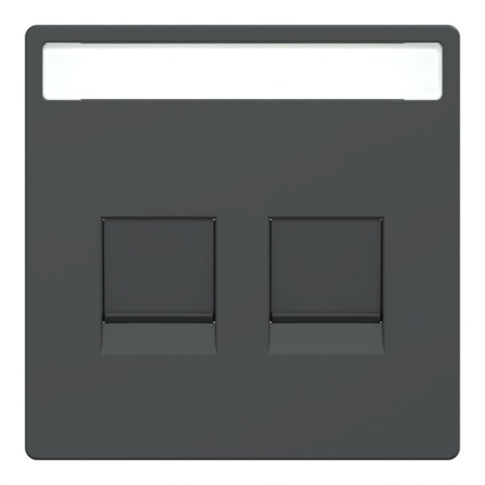 Лицьова панель Merten подвійний розетки RJ45 поле для написи захисні шторки антрацит