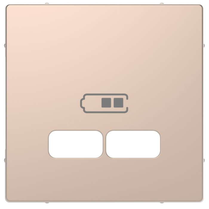 Лицьова панель Merten D-Life для розетки USB шампань
