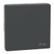 Клавиша Merten D-Life 1-я ip44 антрацит