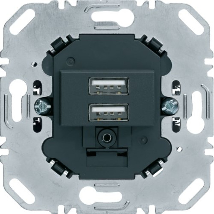 USB-розетка двойная 230В антрацит Berker