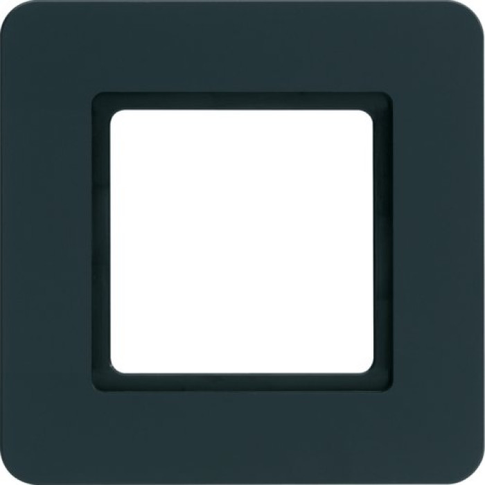 Рамка під LED-модуль 1-пост пластикова антрацит, Q.7 Berker 10116106