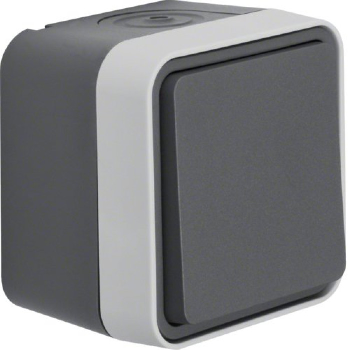Переключатель Berker IP55 серый 10АX/250В W.1