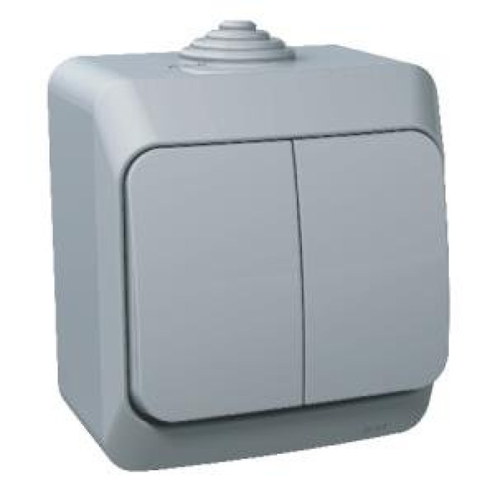 Выключатель Schneider Electric Cedar Plus 2-клавишный IP44 16A серый