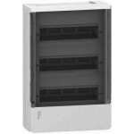 Щит Schneider Electric Mini Pragma 36 модулів навісний проз. двері IP40