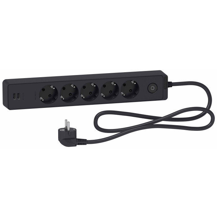 Подовжувач мережевий Schneider-Electric 5 розеток + 2 USB 3 м антрацит