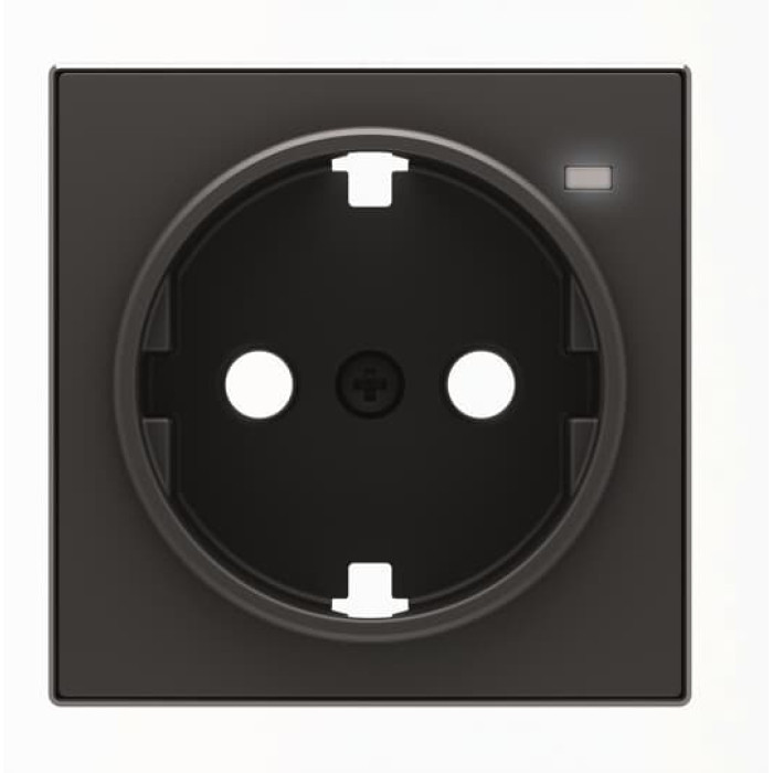 Центральна плата розетки ABB серія Sky 2CLA858880A1501 8588.8 NS із заземленням та лінзою чорний оксамит