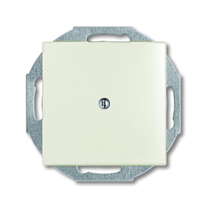 Заглушка ABB Basic 55 2CKA001715A0316 2538-96-507 (білий шале)