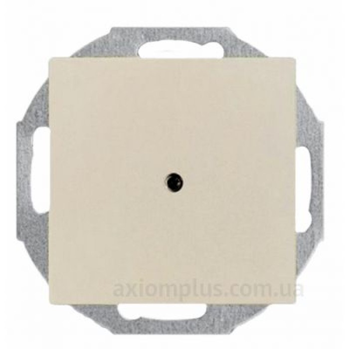 Заглушка ABB Basic 55 2538-92-507 (слонова кістка)