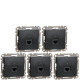 (АКЦИЯ!!! 4+1 шт.) Розетка компьютерная RJ45 кат. 5e UTP Schneider Sedna Design Черный