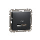 Розетка USB тип A+C 2,4A Schneider Sedna Design Чорний