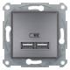 Розетка Schneider Electric Asfora Plus 2xUSB 2.1А сталь